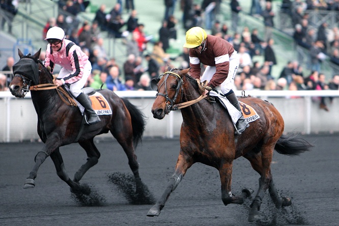 image Roi du Lupin et Oyonnax dans le Prix de Londres